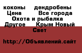 коконы    дендробены › Цена ­ 25 - Все города Охота и рыбалка » Другое   . Крым,Новый Свет